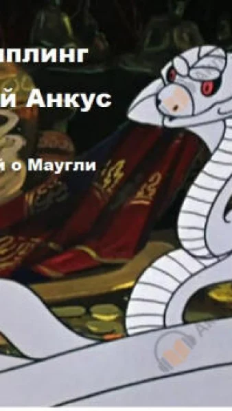 Барский анкус