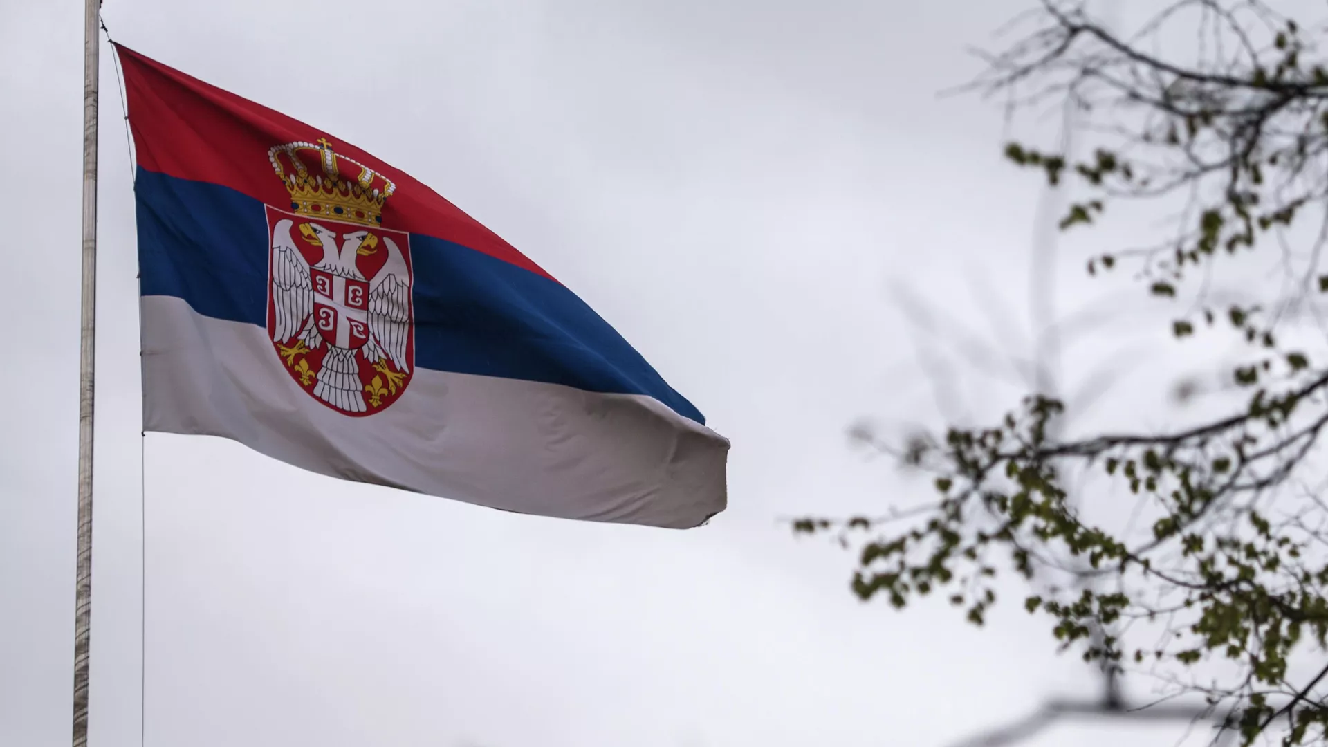 В Сербии открылся кинофестиваль "RT.ДОК: Время наших героев" В Сербии открылся кинофестиваль "RT.ДОК: Время наших героев"